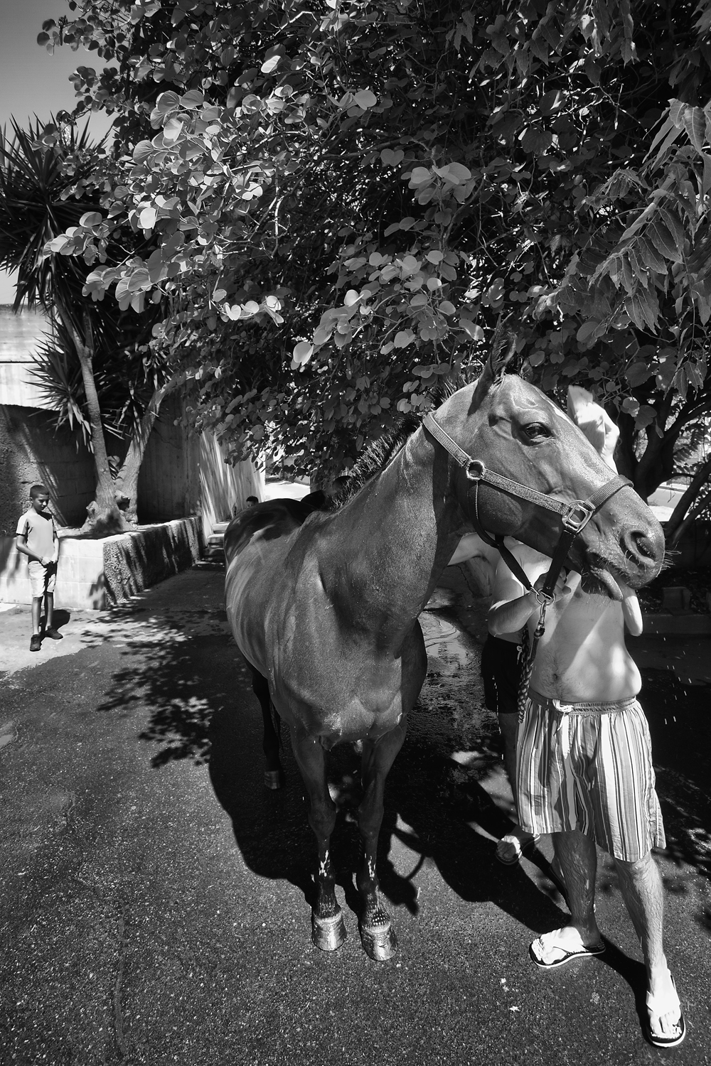 Fotografia di Francesco Nicosia